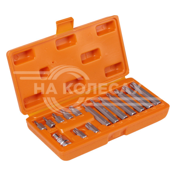 Набор бит вставок TORX 3/8&quot; 30мм и 75мм с держателем бит 1/2&quot; DR 15 предметов в кейсе