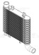 ОНВ (радиатор интеркулера) для автомобилей Santa Fe (06-) 2.2CRDi