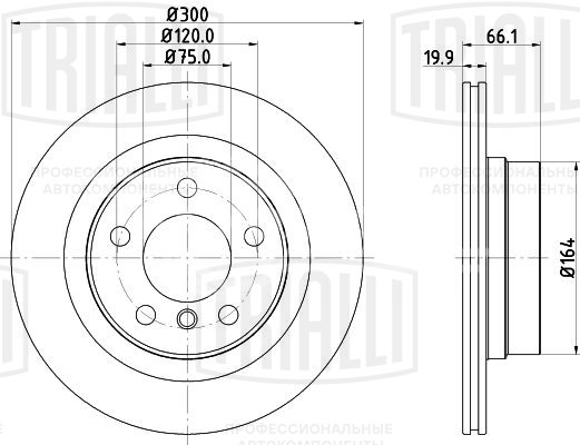 Диск тормозной задний для автомобилей BMW 3 (F30) (11-) / 4 (F32) (13-) / 1 (F20) (11-) d=300 окрашенный