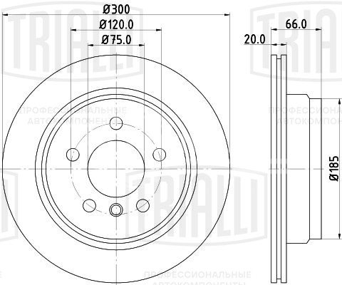 Диск тормозной задний для автомобилей BMW 3 (F30) (11-) / 4 (F32) (13-) d=300 окрашенный