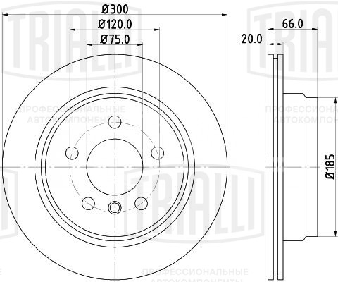 Диск тормозной задний для автомобилей BMW 3 (F30) (11-) / 4 (F32) (13-) d=300 окрашенный