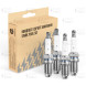 Комплект свечей зажигания для автомобилей VAG Octavia A5 (04-)/Golf V (03-) 1.4i/1.6i (кмпл. 4шт)