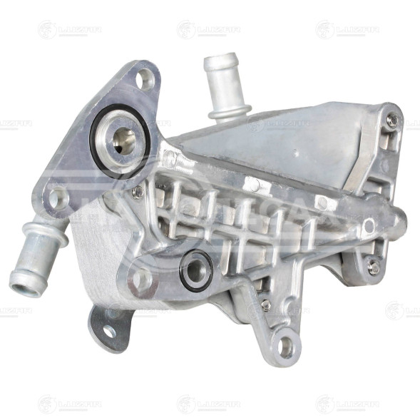 Радиатор масляный для автомобилей Polo (05-)/Rapid (12-) 1.6i [CWVA] AT