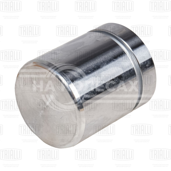 Поршень заднего суппорта для автомобилей BMW 3 (E90/91/92/93) (05-) / 1 (E81/87) (04-) d=42мм