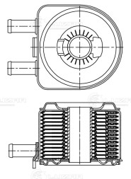 Радиатор масляный для автомобилей Boxer (02-)/Jumper (02-) 2.0D/2.2D