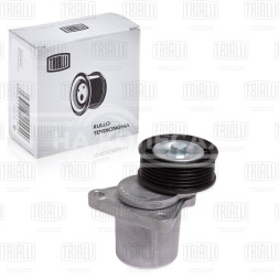 Ролик привод. ремня для автомобилей Mazda 6 (02-) 1.8i/2.0i/2.3i (с натяж. мех.) h29 (CMS 1219)