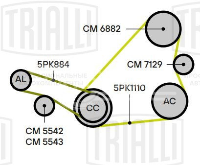 Ролик приводного ремня для автомобилей Renault Megane II (02-) 1.9dCi/2.0i (только ролик натяжителя)
