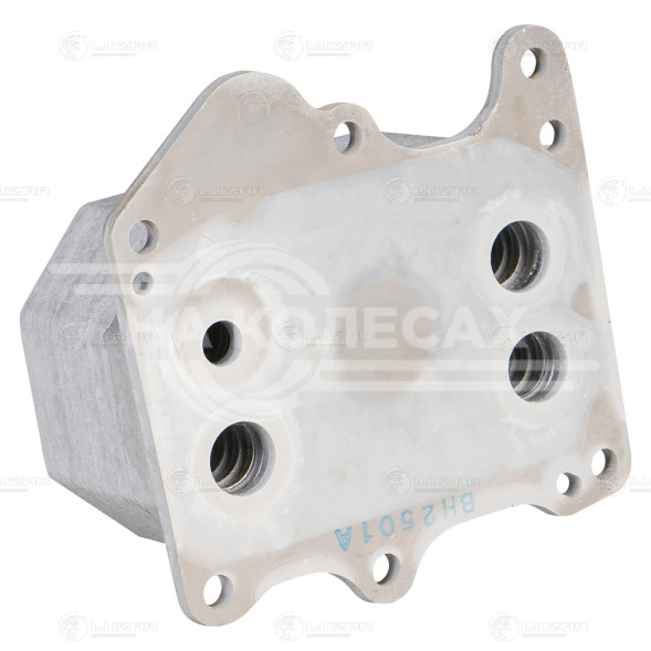 Радиатор масляный для автомобилей Transit (06-)/(13-)/Fiat Ducato (06-)/Peugeot Boxer (06-) 2.2TD