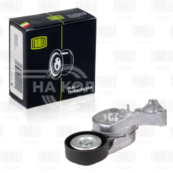 Ролик привод. ремня для автомобилей VW Transporter T5 (03-) 1.9TDi (с натяж. мех.) (CM 5189)