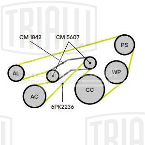 Ролик приводного ремня для автомобилей VW Pointer/Golf BR (04-) 1.6i/1.8i (с натяжным механизмом) двойной