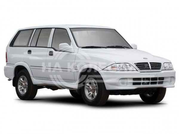Арки задние TagAZ Road Partner 1