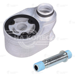 Радиатор масляный для автомобилей Fiat Ducato (06-)/Iveco Daily (11-) 2.3D