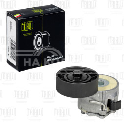 Ролик приводного ремня для автомобилей Iveco Daily III (99-)/Daily IV (06-)/Daily V(11-)/Daily VI (14-) 3.0d генератора (с натяжным механизмом)